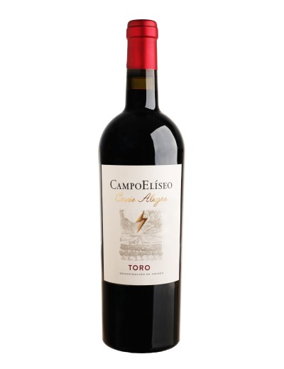 Campo Alegre Magnum - DO Toro