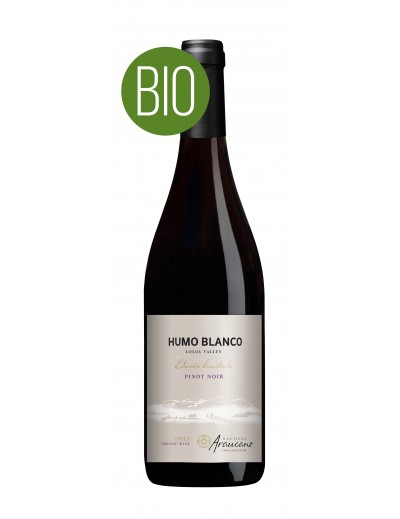 Humo Blanco Pinot Noir - Chili Vallée de Lolol - 2021