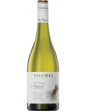 Yalumba Y Series Viognier - Australie - 2021