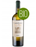 Campo Alegre Verdejo - DO Rueda - 2024