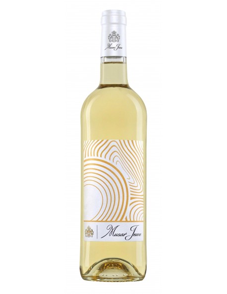 Musar Jeune Blanc 