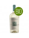 Vento d'Estate Pinot Grigio - DOC Delle Venezie - 2025