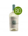 Vento d'Estate Pinot Grigio - DOC Delle Venezie - 2024